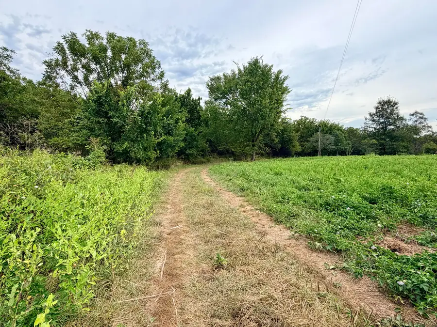 379 Fabuzi Lane, Galena, MO 65656 - #3