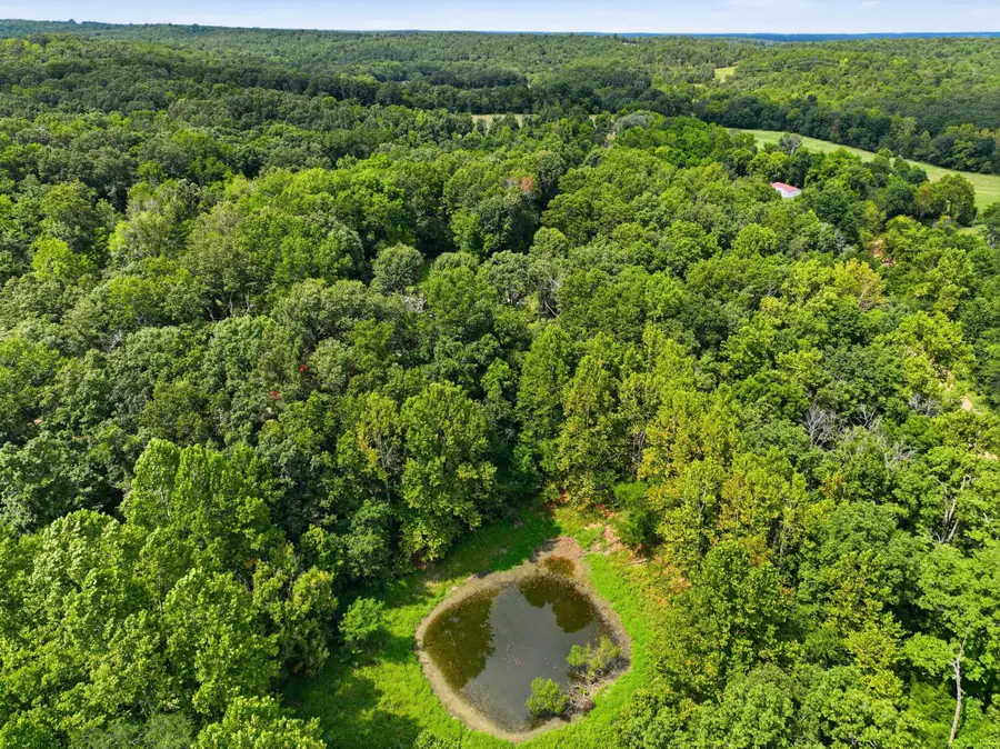 3320 County Road 328, Thayer, MO 65791 - #3