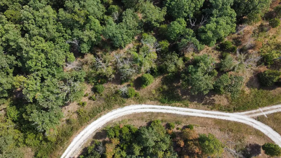 21721 Canyon Drive, Wheatland, MO 65779 - #3