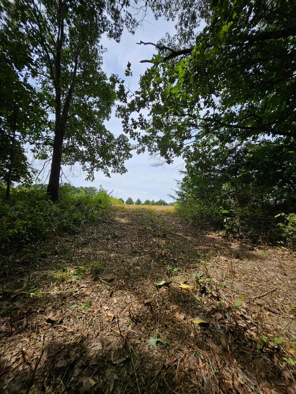 000 Settlers Trail Road, Marshfield, MO 65706 - #1