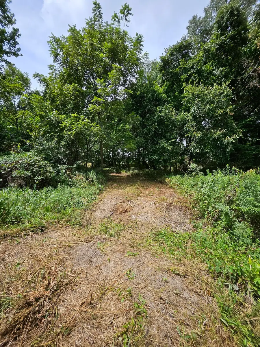 000 Settlers Trail Road, Marshfield, MO 65706 - #2