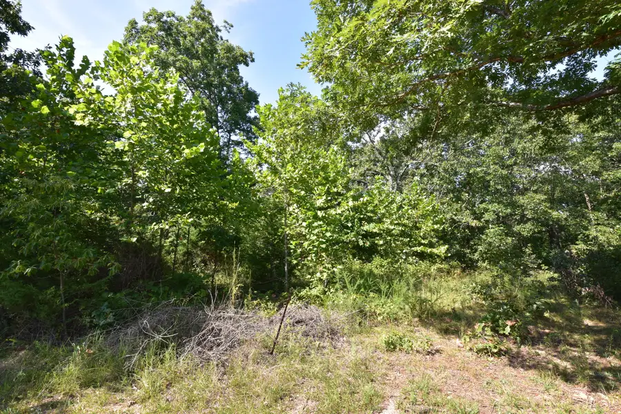 000 Deckard Road, Fordland, MO 65652 - #3