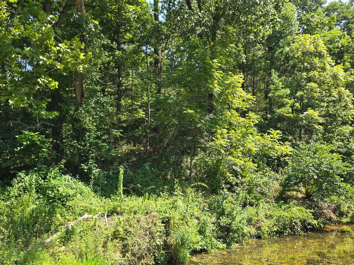000 Minera Mineral Drive, Houston, MO 65483 - #1