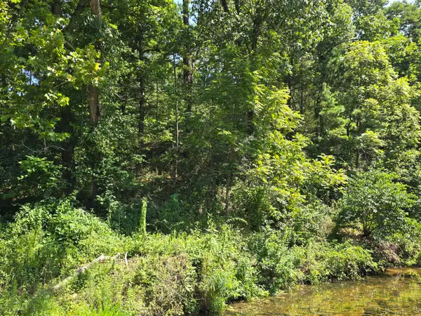 000 Minera Mineral Drive, Houston, MO 65483