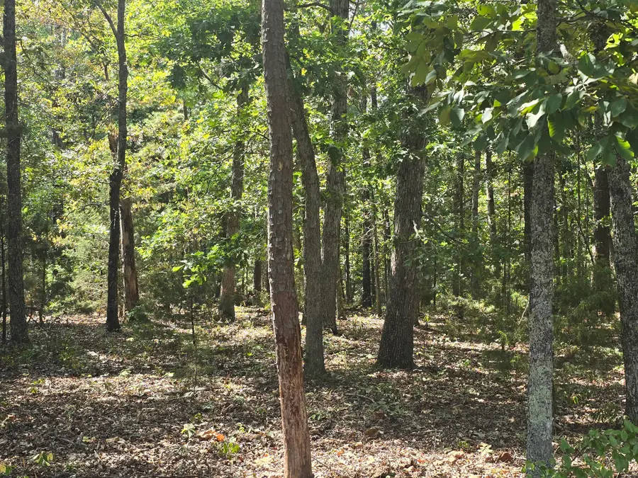 000 Minera Mineral Drive, Houston, MO 65483 - #2