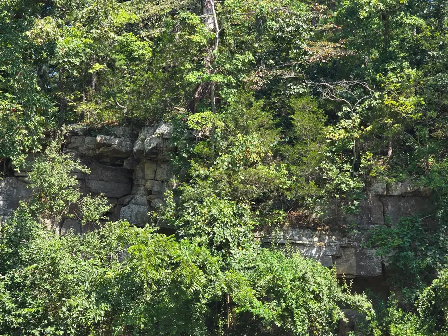 000 Minera Mineral Drive, Houston, MO 65483 - #3
