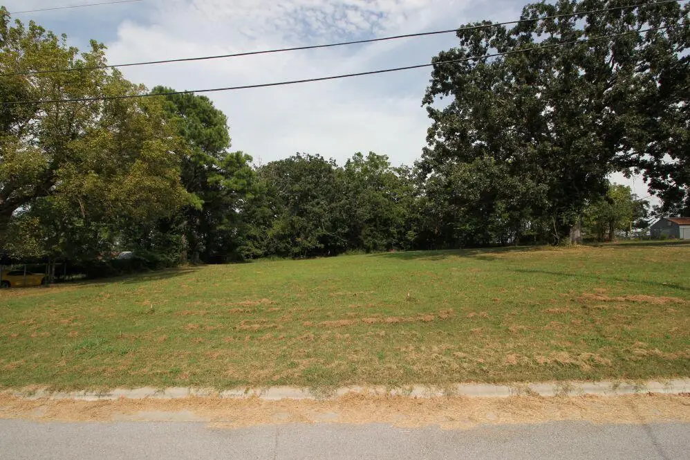 Lot 2a 9th Street, Ozark, MO 65721 - #1