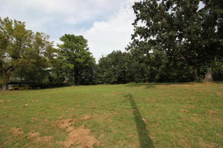 Lot 2a 9th Street, Ozark, MO 65721 - #3