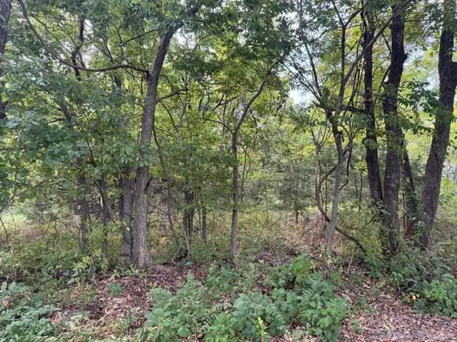 137 Tie Road, Marshfield, MO 65706 - #1