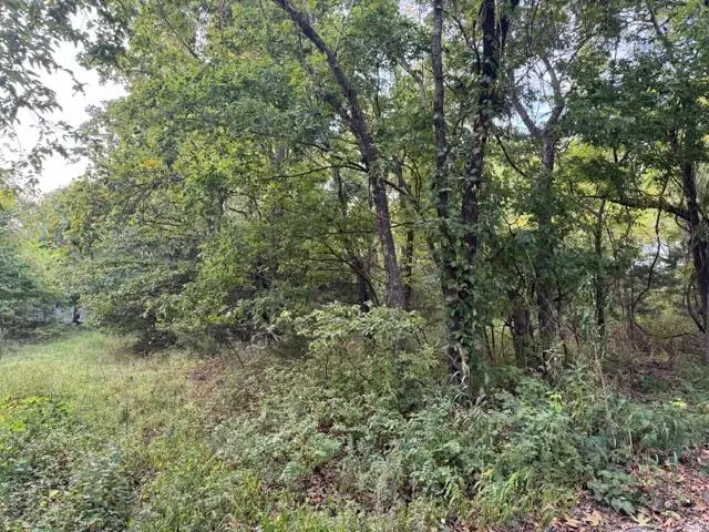 137 Tie Road, Marshfield, MO 65706 - #3