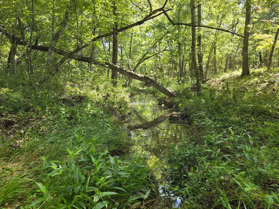 000 County Road 1990, Willow Springs, MO 65793 - #3