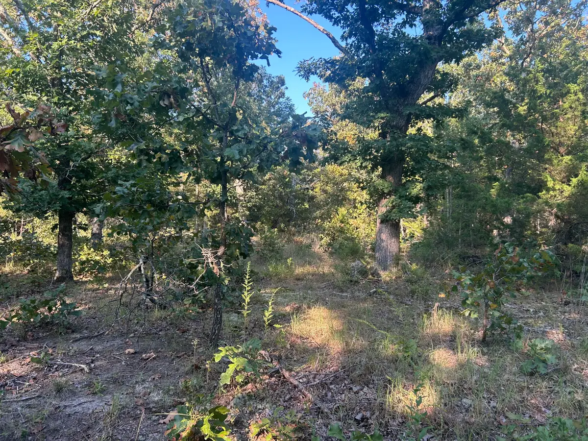 000 County Road 2340, Salem, MO 65560 - #1