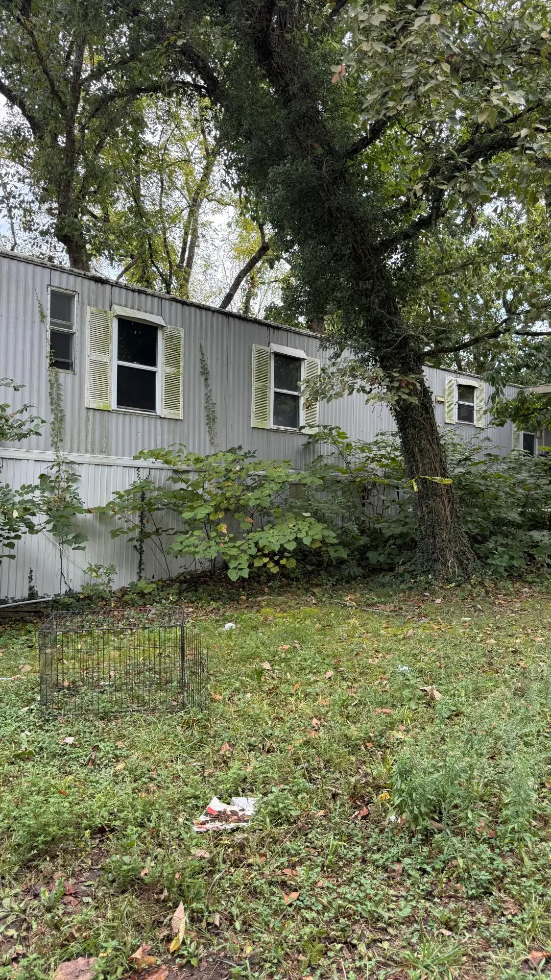 381 Mill Hollow Road, Forsyth, MO 65653 - #1