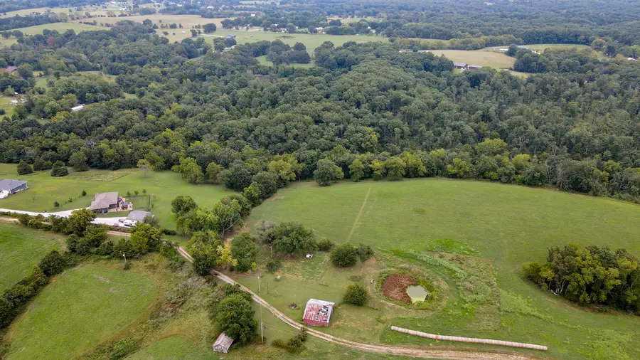 363 Henry Drive, Ozark, MO 65721 - #3