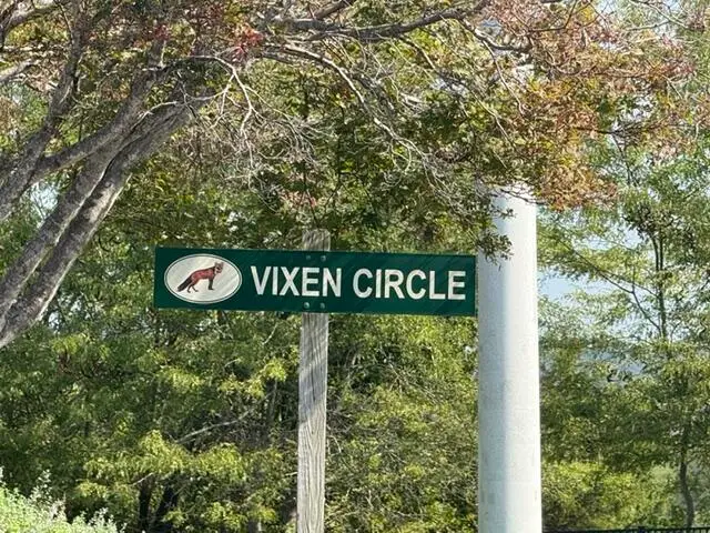 110 Vixen Circle #B, Branson, MO 65616 - #2