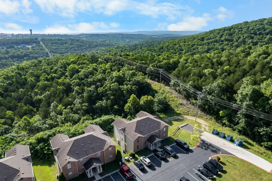 2919 Vineyards Parkway # 10-2, Branson, MO 65616 - #3