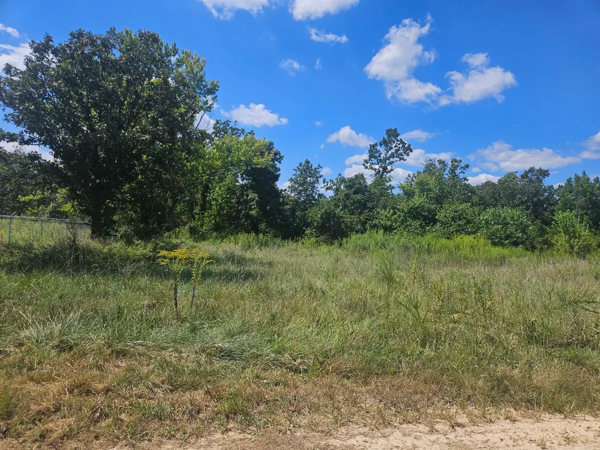 1169 County Road 2790, Mountain View, MO 65548 - #1