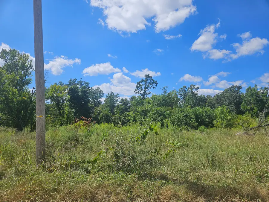 1169 County Road 2790, Mountain View, MO 65548 - #3