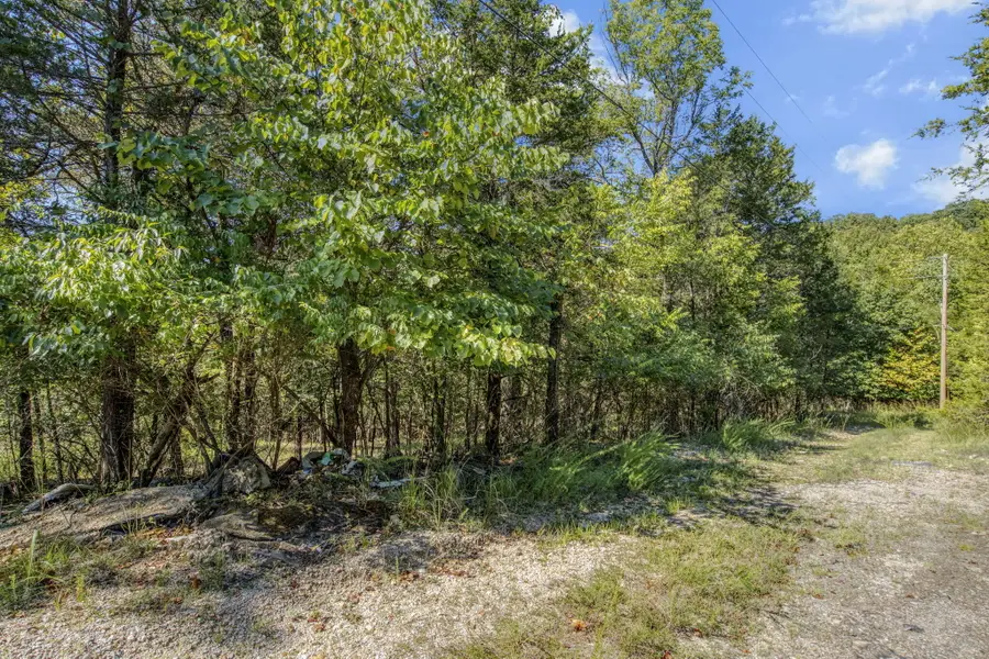 Lots 15-18 Pomme De Terre Road, Branson, MO 65616 - #2