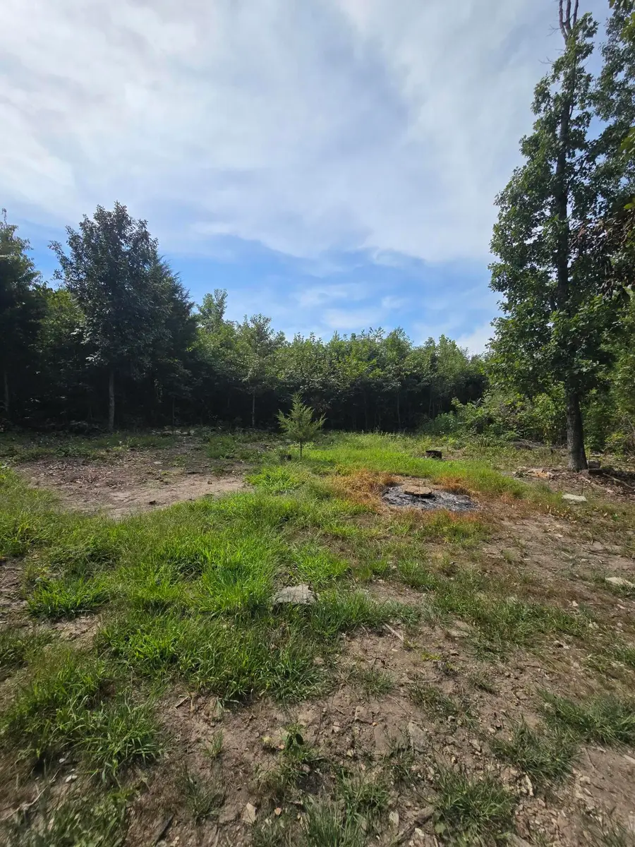 1899 Cedar Gap Central Lane, Seymour, MO 65746 - #2