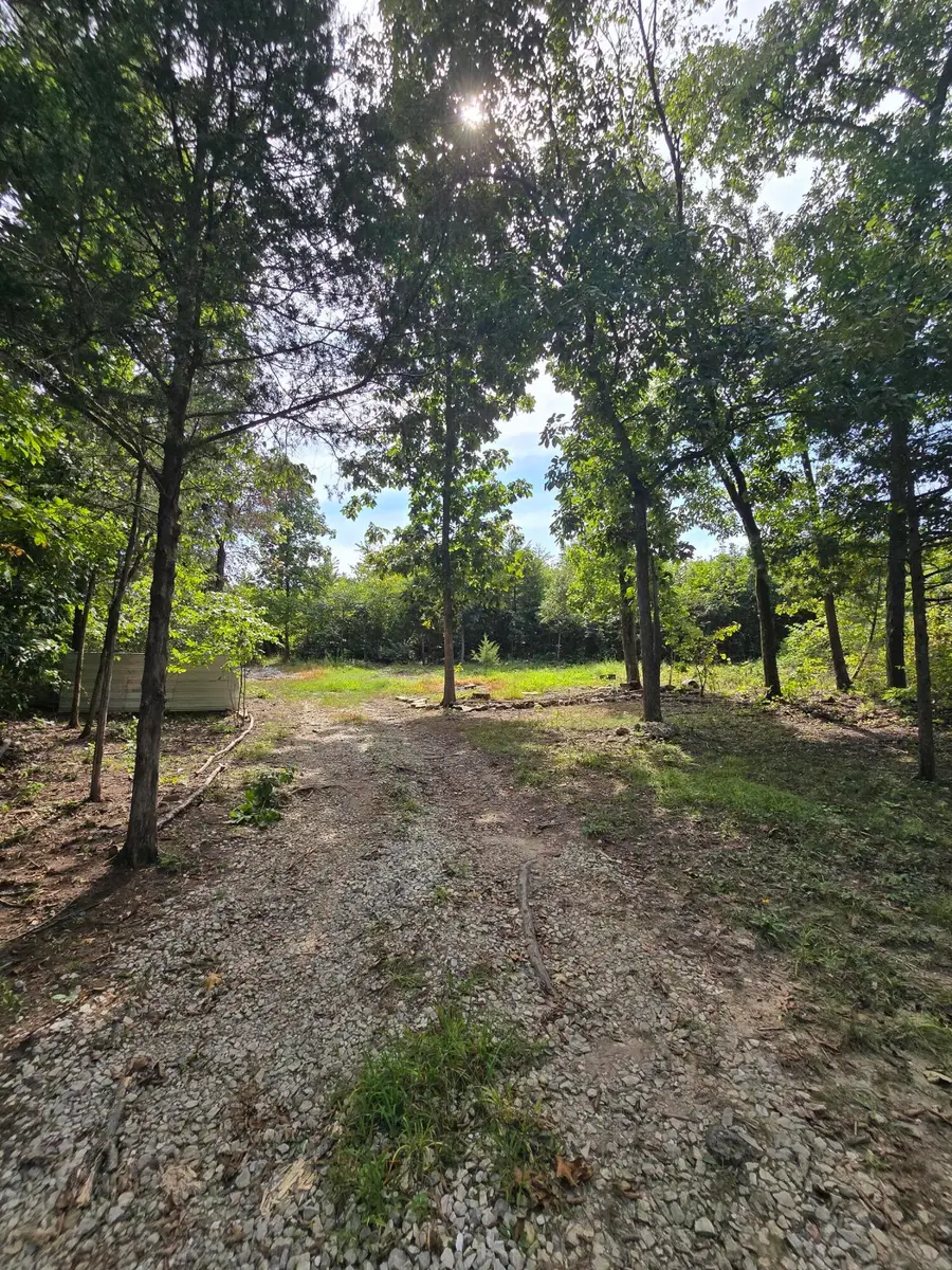 1899 Cedar Gap Central Lane, Seymour, MO 65746 - #3
