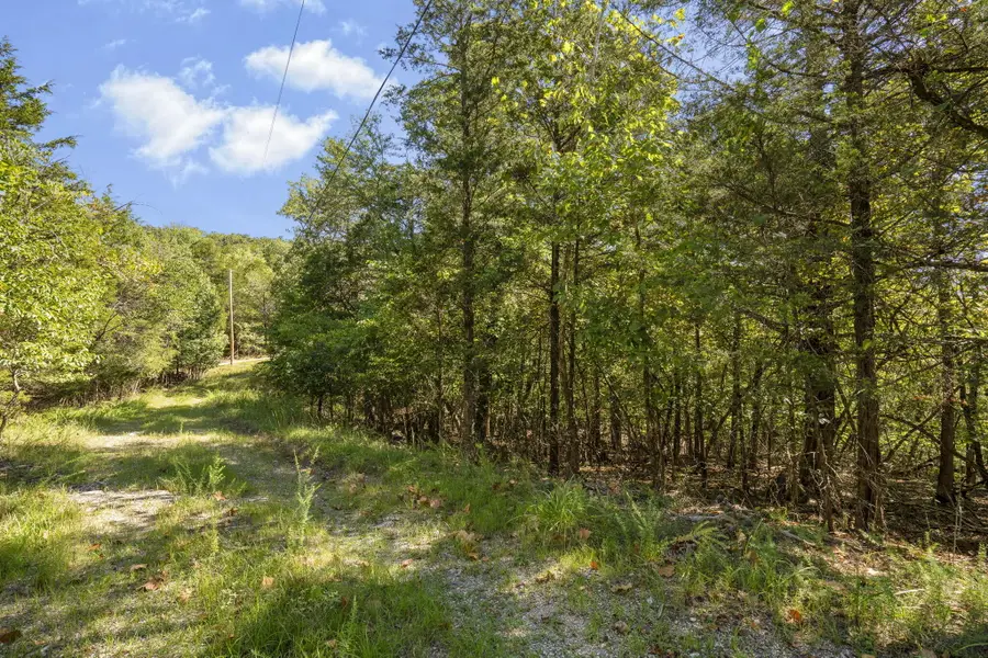 Lots 12&13 Pomme De Terre Road, Branson, MO 65616 - #3