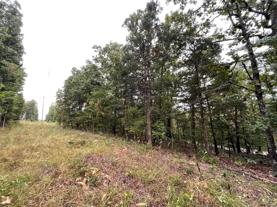 000 Fernwood Drive, Theodosia, MO 65761 - #3