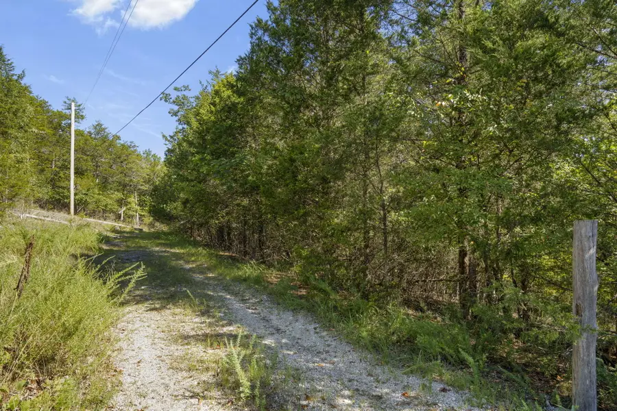 Lots 10&11 Pomme De Terre Road, Branson, MO 65616 - #2