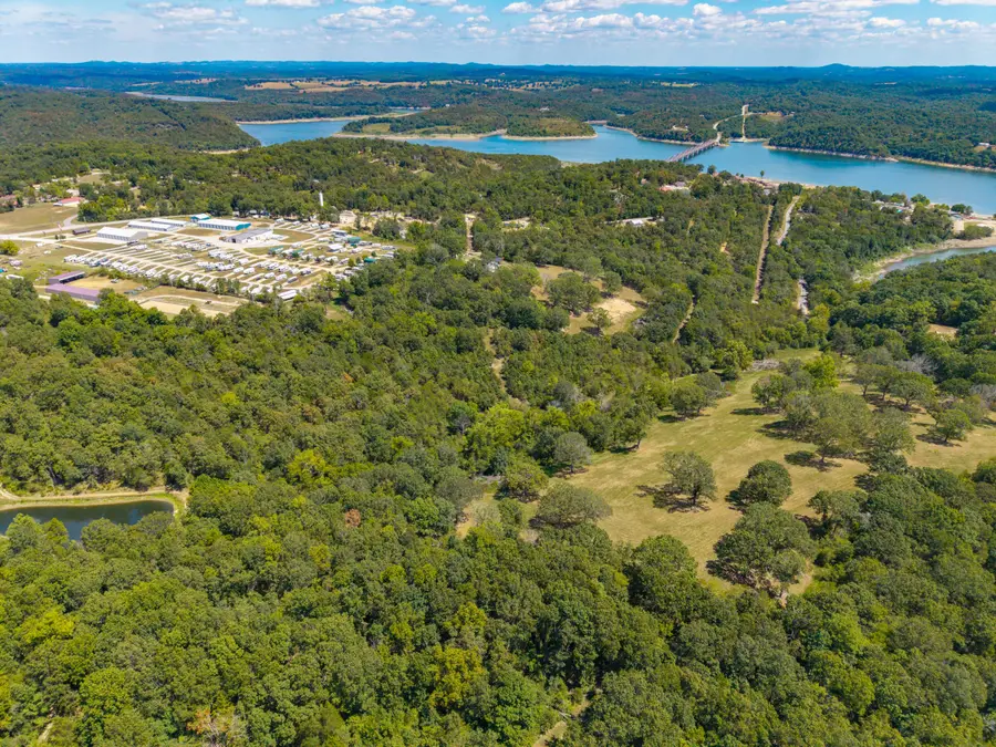 Lot 2 County Road 635, Theodosia, MO 65761 - #3