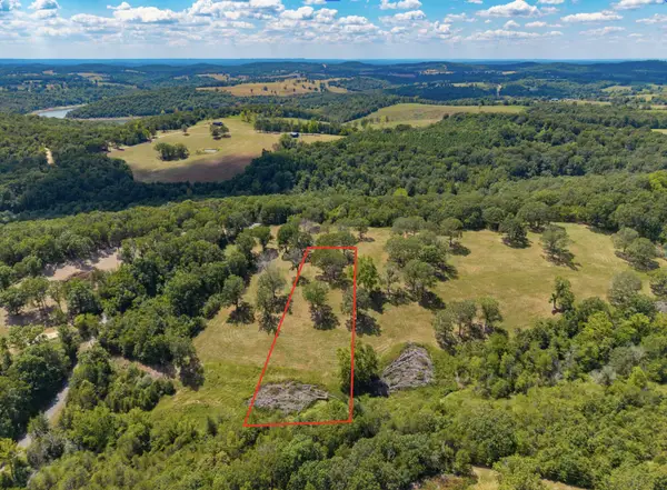 Lot 4 County Road 635, Theodosia, MO 65761
