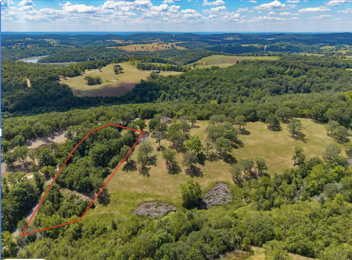 Lot 6 County Road 635, Theodosia, MO 65761 - #1