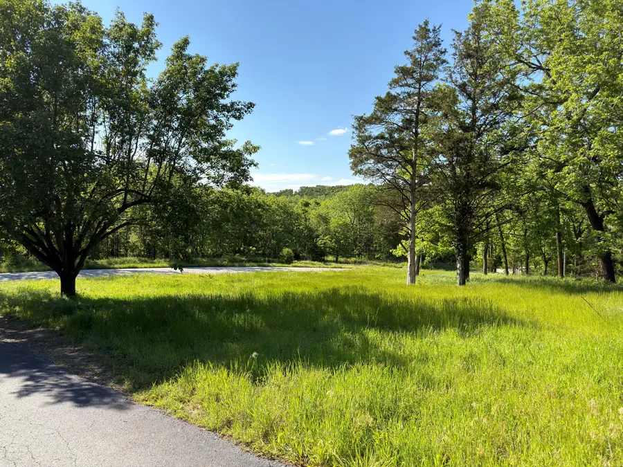 000 Fi Anna Lane, Ozark, MO 65721 - #2