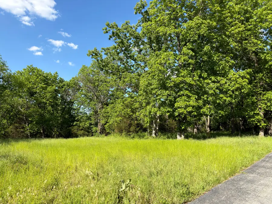 000 Fi Anna Lane, Ozark, MO 65721 - #3