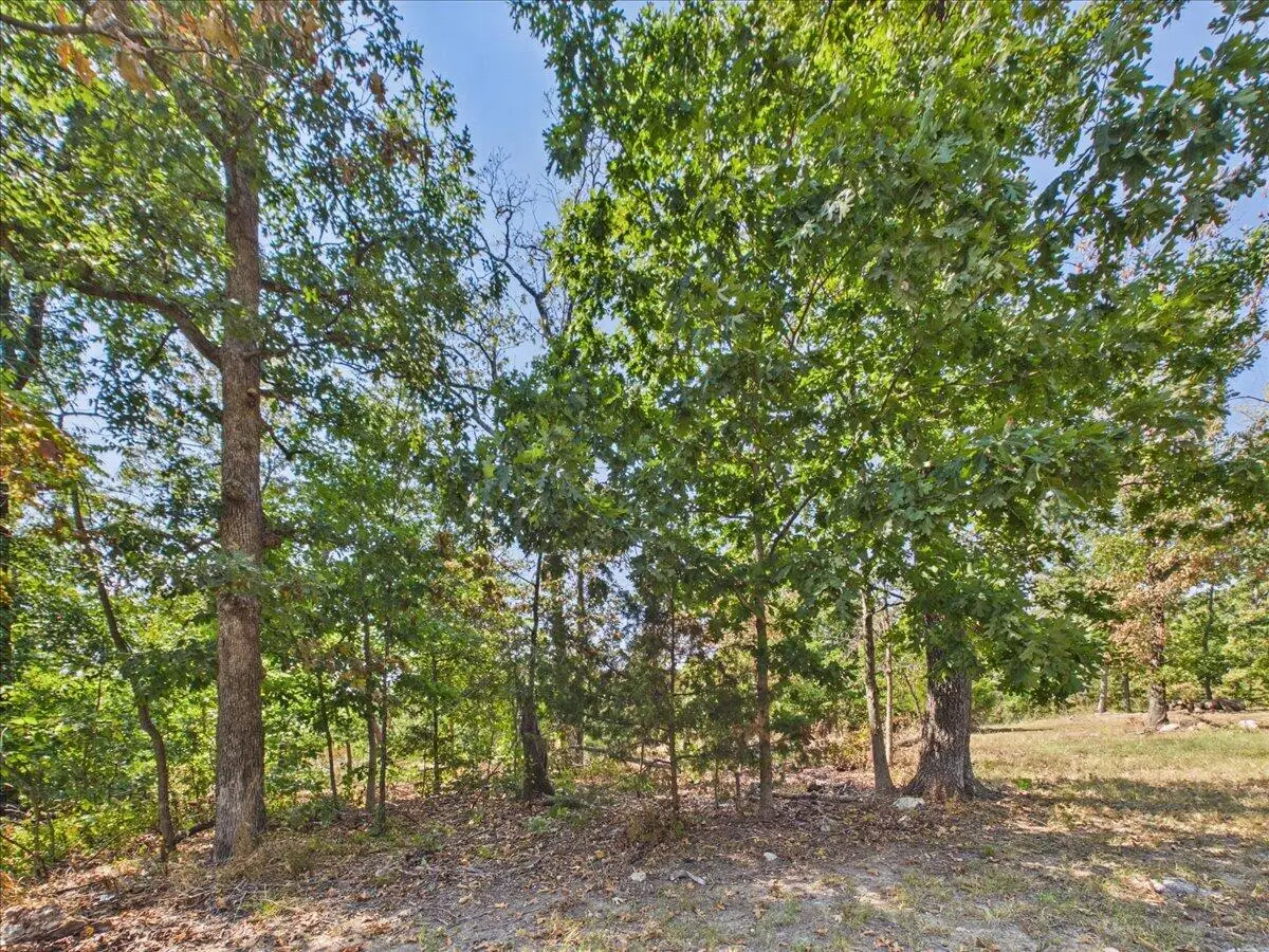 000 Wild Turkey Run, Urbana, MO 65767 - #1