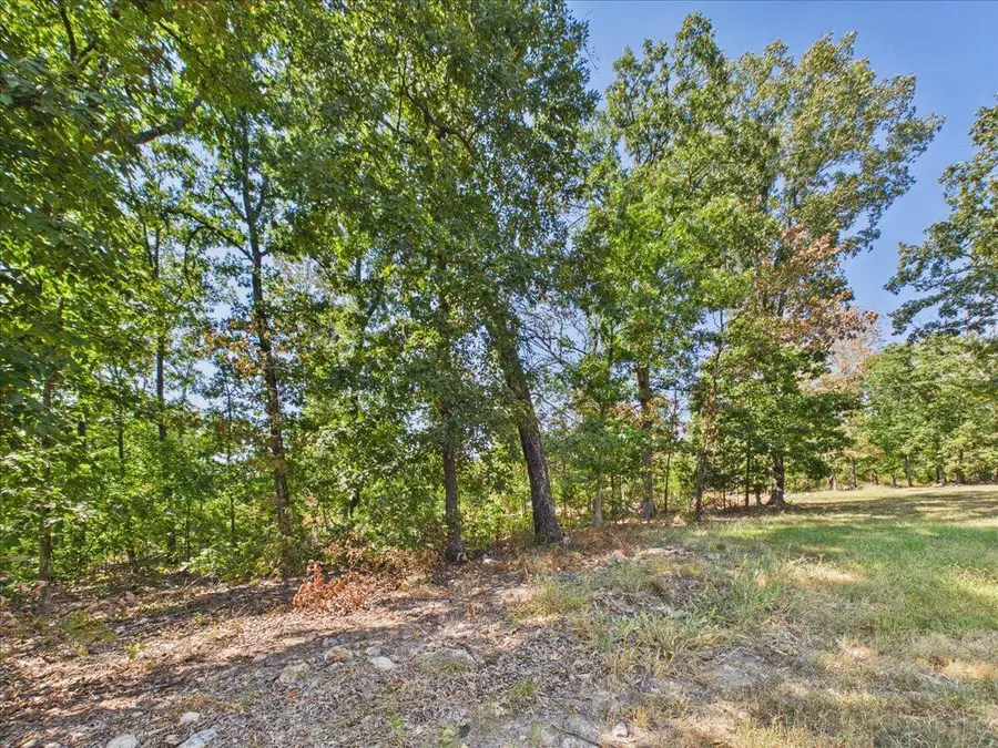 000 Wild Turkey Run, Urbana, MO 65767 - #3