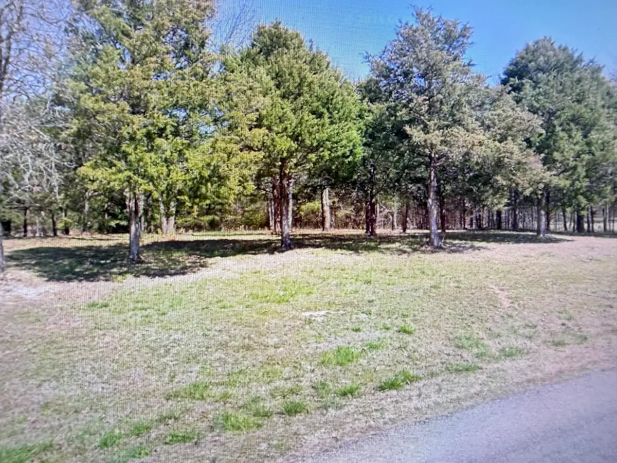 0000 Farm Rd 2274, Golden, MO 65658 - #1