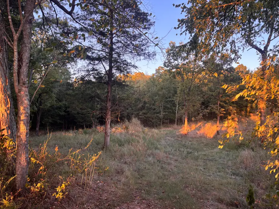 0000 Farm Rd 2274, Golden, MO 65658 - #3