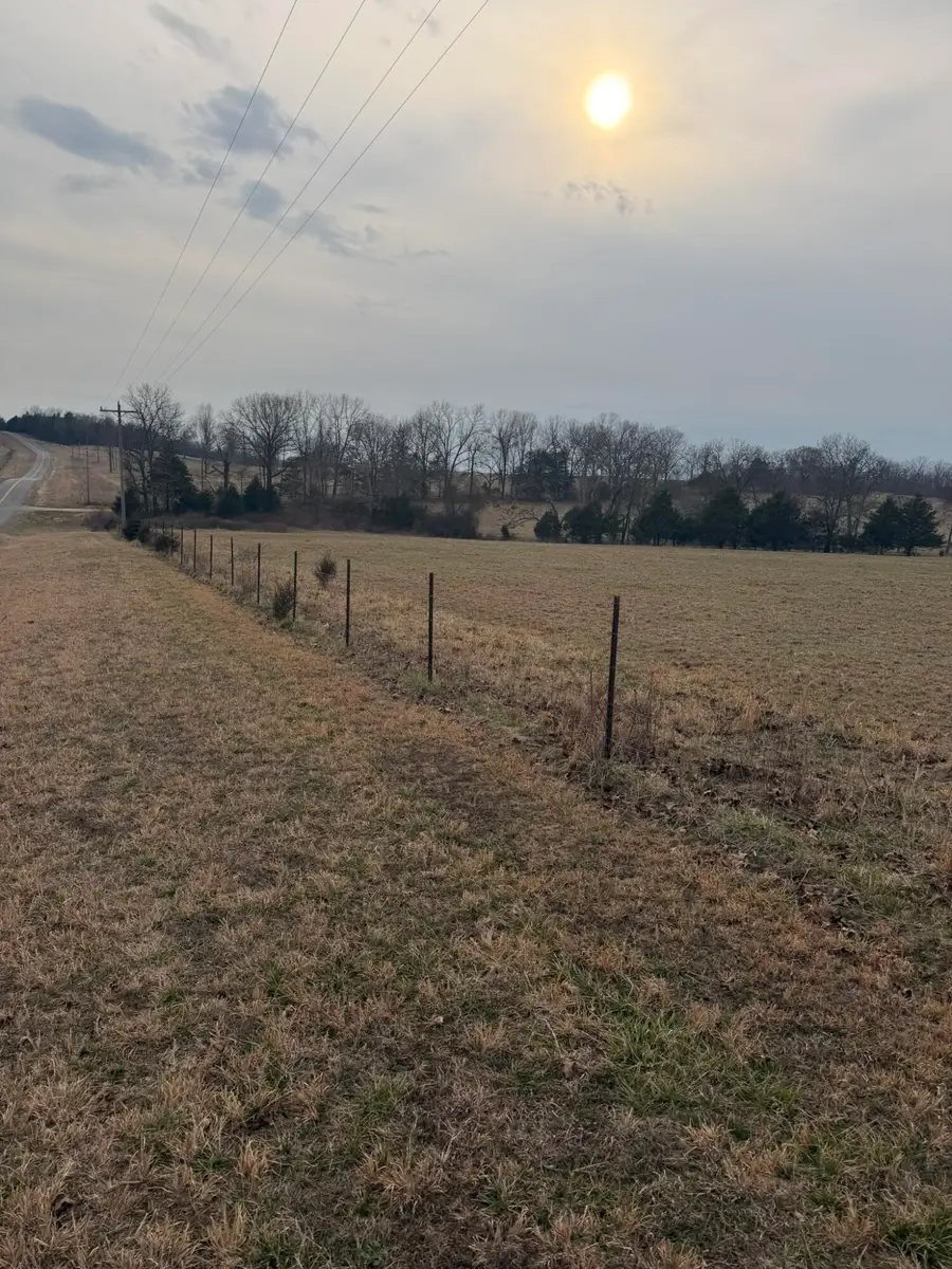 141 Co Rd 329, Dora, MO 65637 - #2