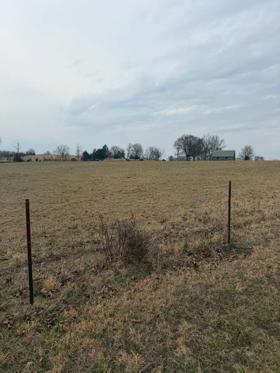141 Co Rd 329, Dora, MO 65637 - #3