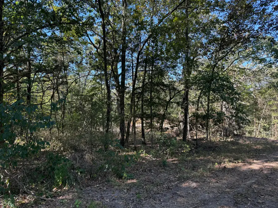 000 203, Wheatland, MO 65779 - #2