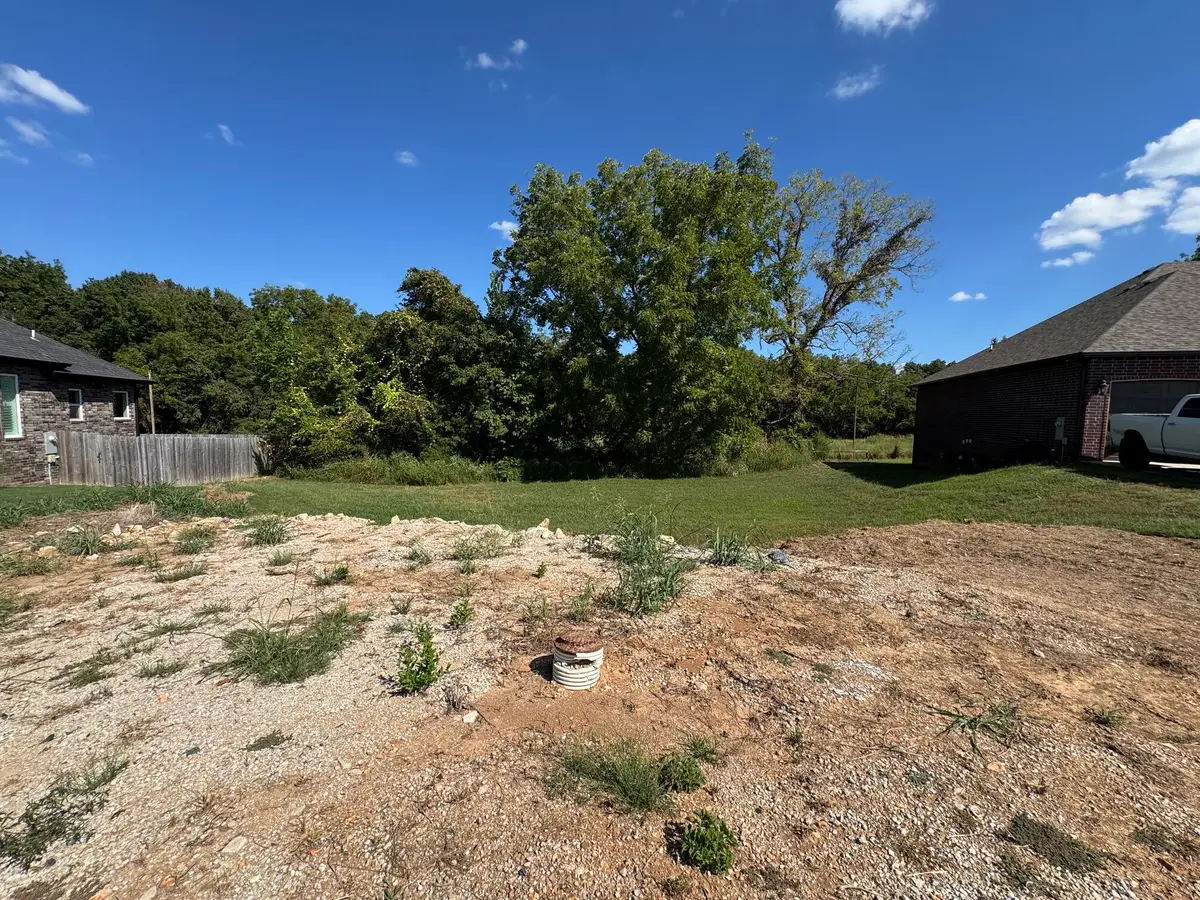 1918 N Vineyard Place, Strafford, MO 65757 - #1
