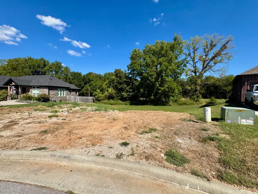 1918 N Vineyard Place, Strafford, MO 65757 - #3
