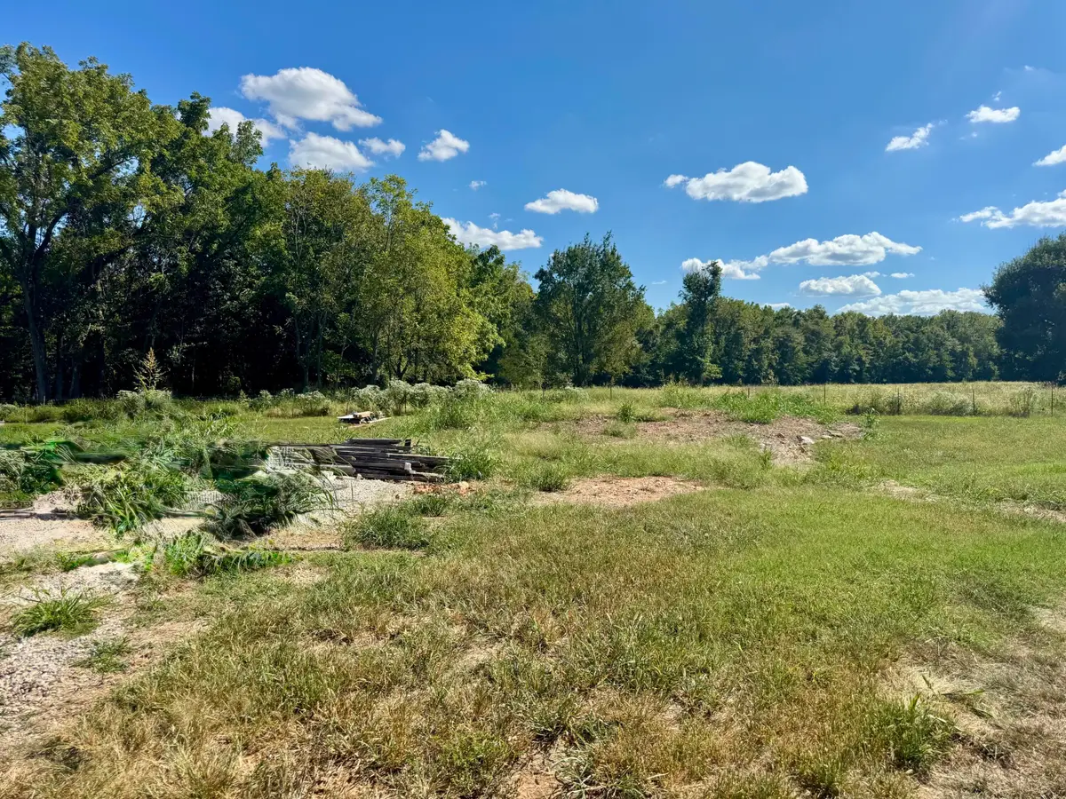 1902 N Vineyard Place, Strafford, MO 65757 - #1