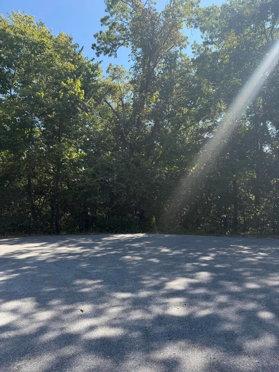 Lot 11 Tower Road, Highlandville, MO 65669 - #2