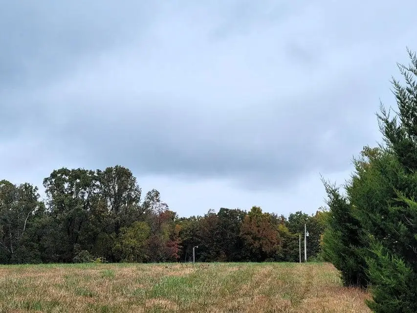 000 Hawknest Trail, Long Lane, MO 65590 - #3