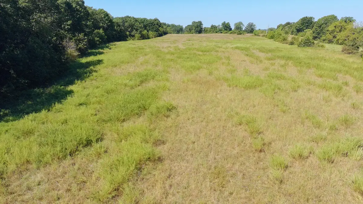 0000 County Rd 132, Norwood, MO 65717 - #1