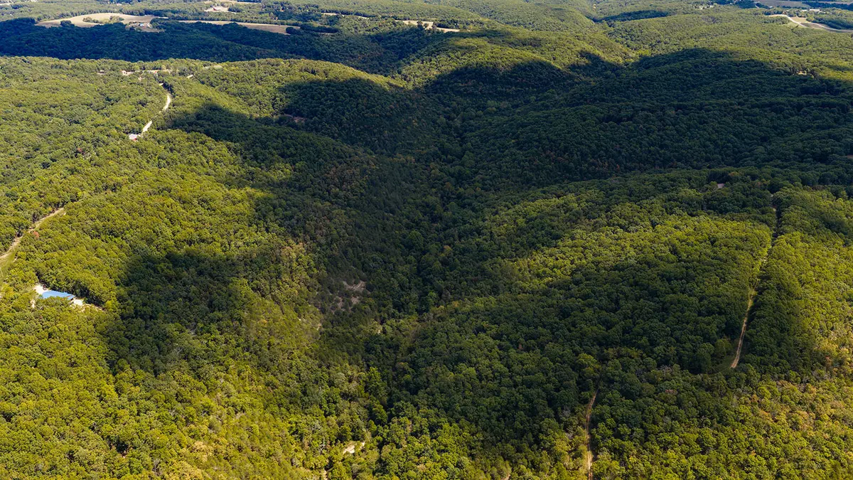 Tract Z&T Red Rock Road, Galena, MO 65656 - #1
