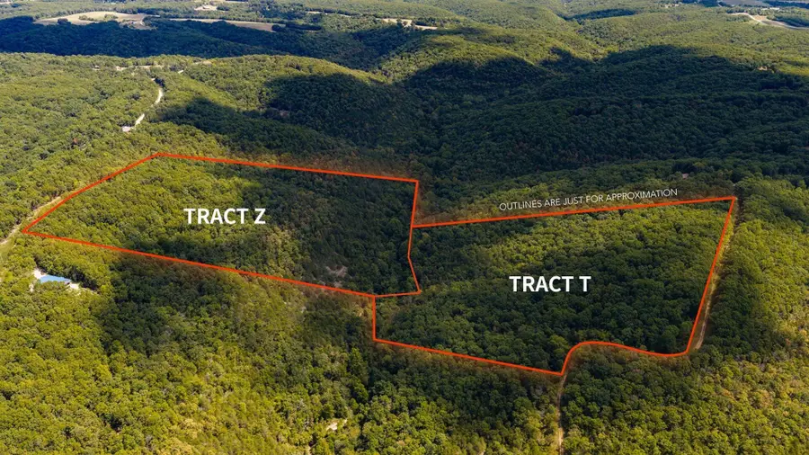 Tract Z Red Rock Road, Galena, MO 65656 - #2