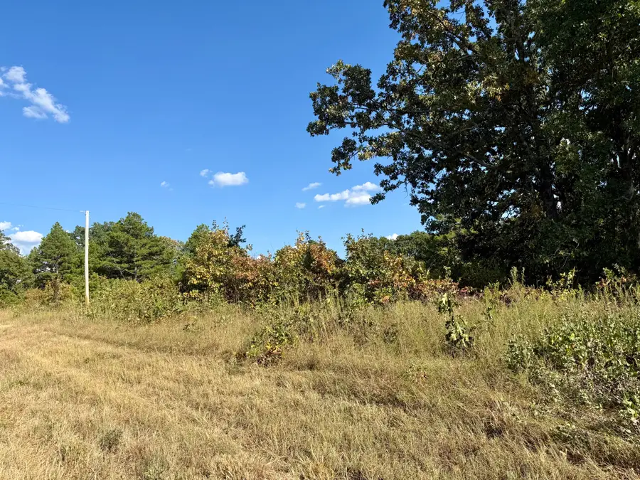 000 Highway 32, Roby, MO 65557 - #3