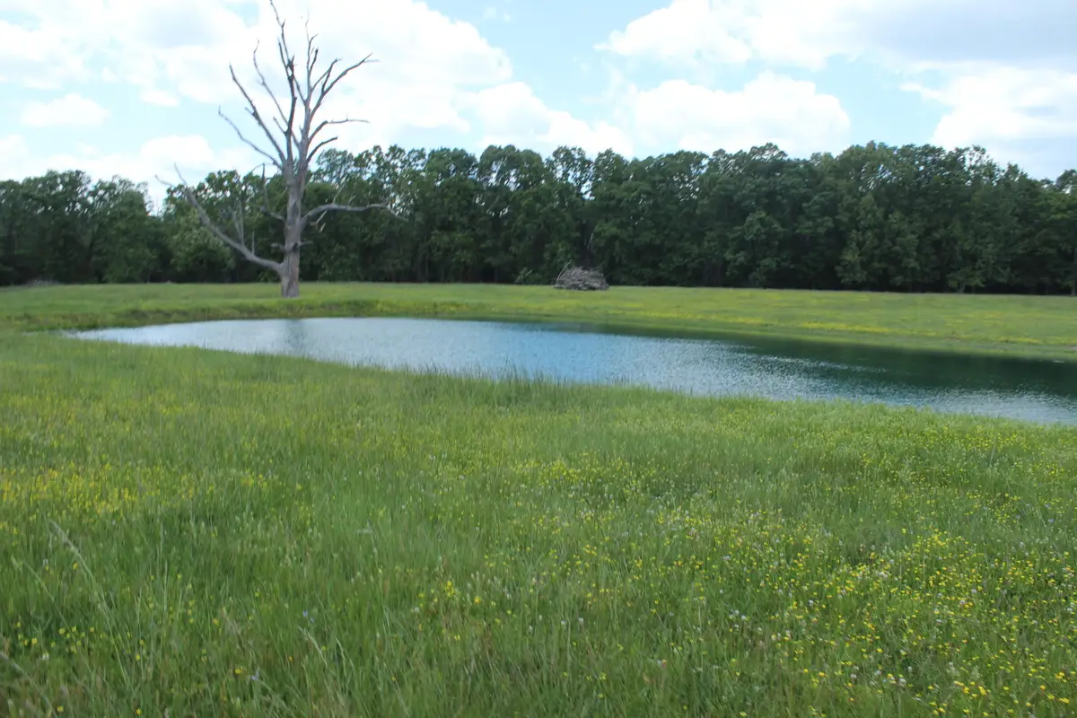 000 W Highway, Thayer, MO 65791 - #1